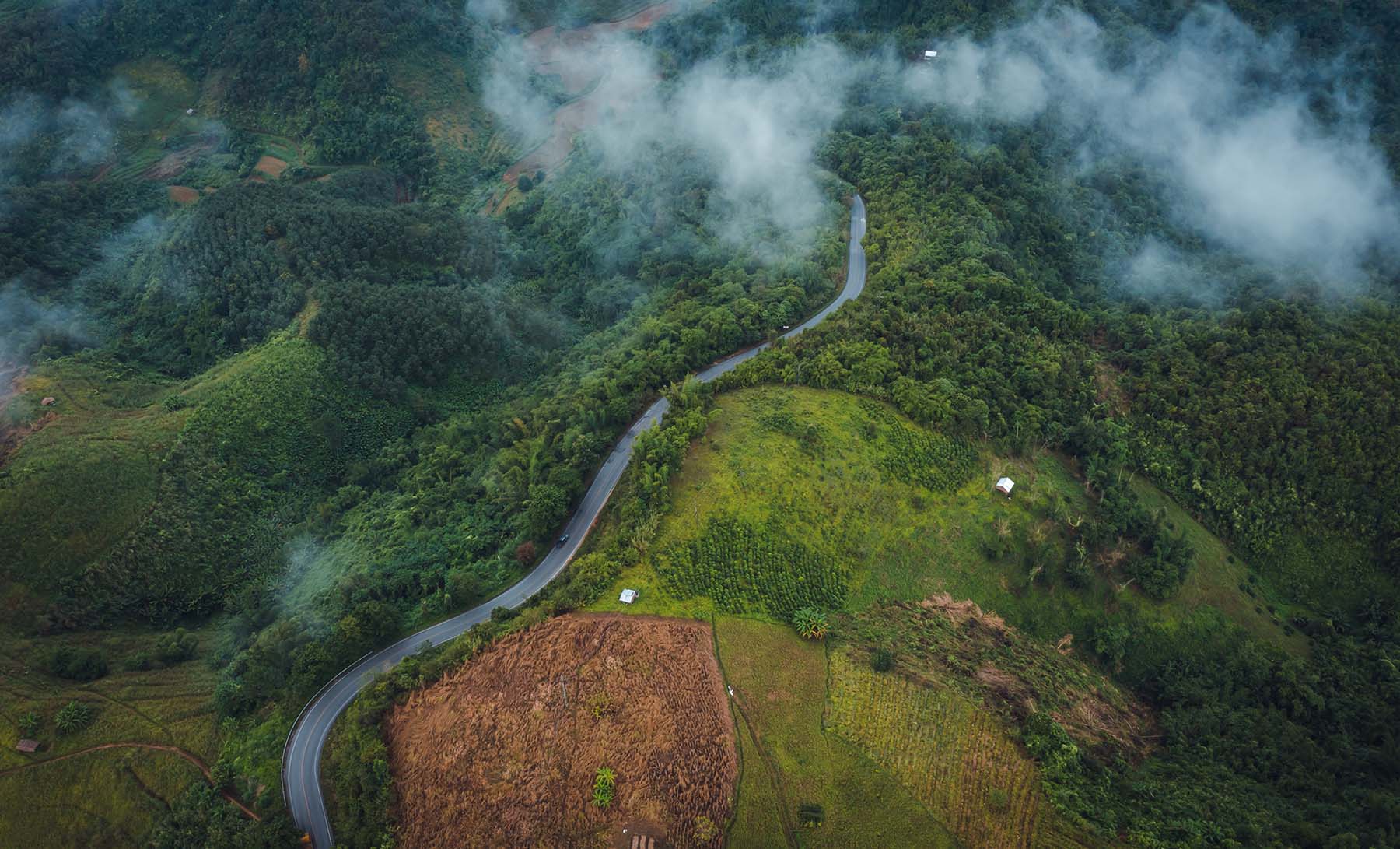 pathway and fog on the green mountain in the rain season at doi chiang rai thailand
