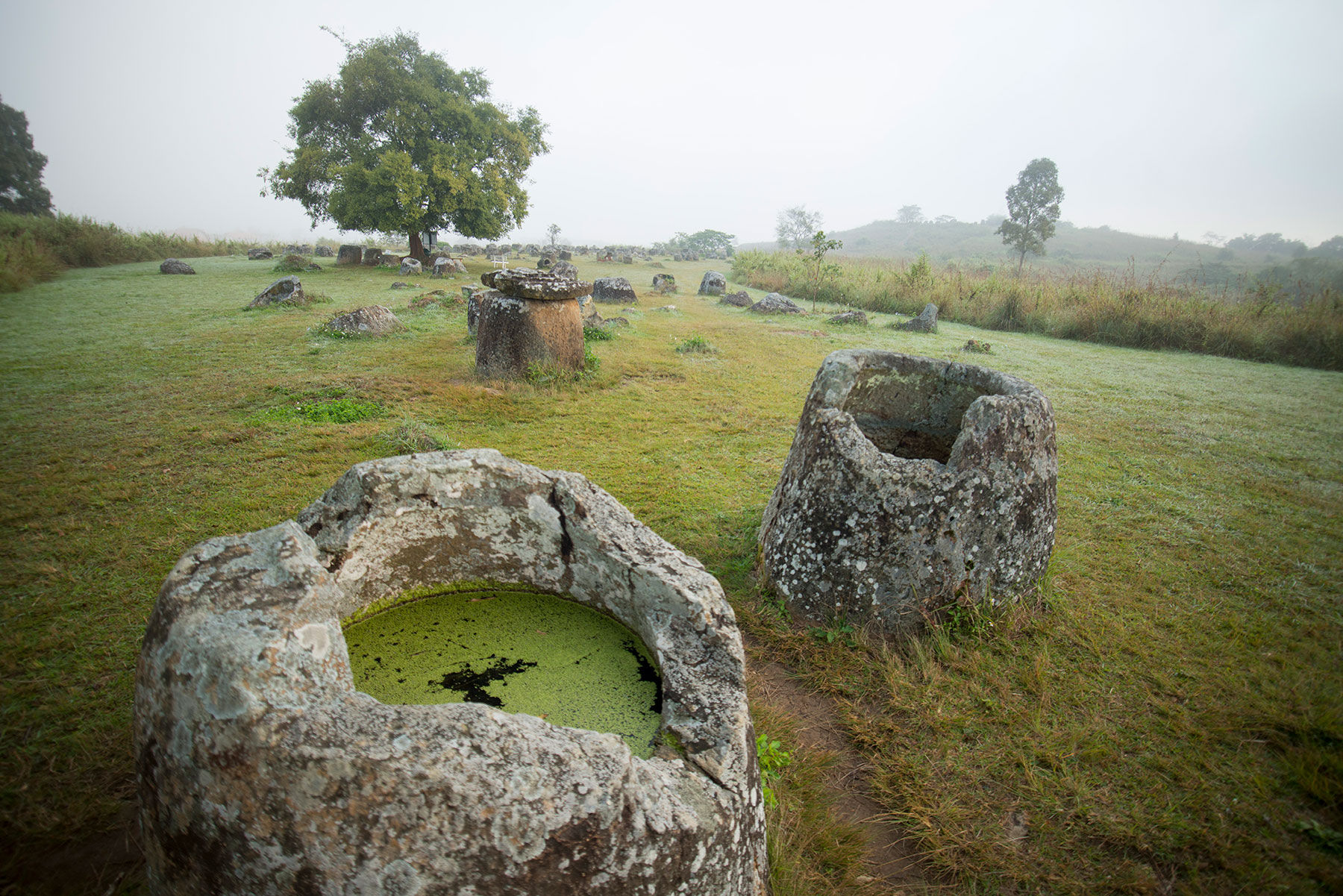PLAIN-OF-JARS-MISTY