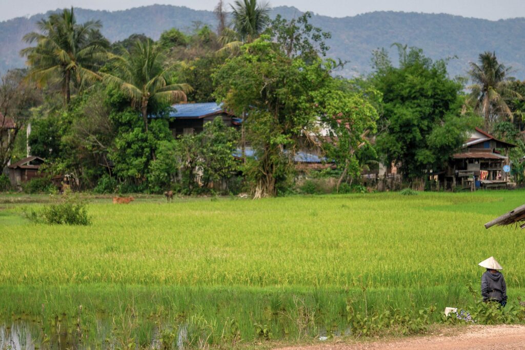 RURAL-LAOS