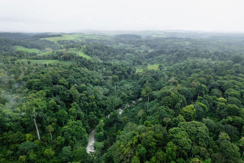 AERIAL-BOLAVEN-PLATEAU