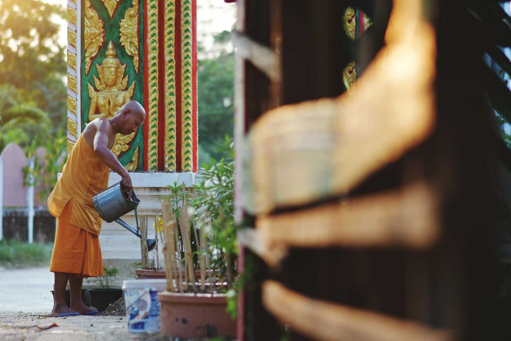 Thai Monk